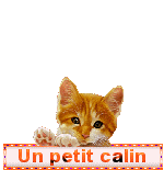 Gif un petit câlin